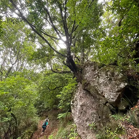 Casa de Férias Cantinho Do Urzal *